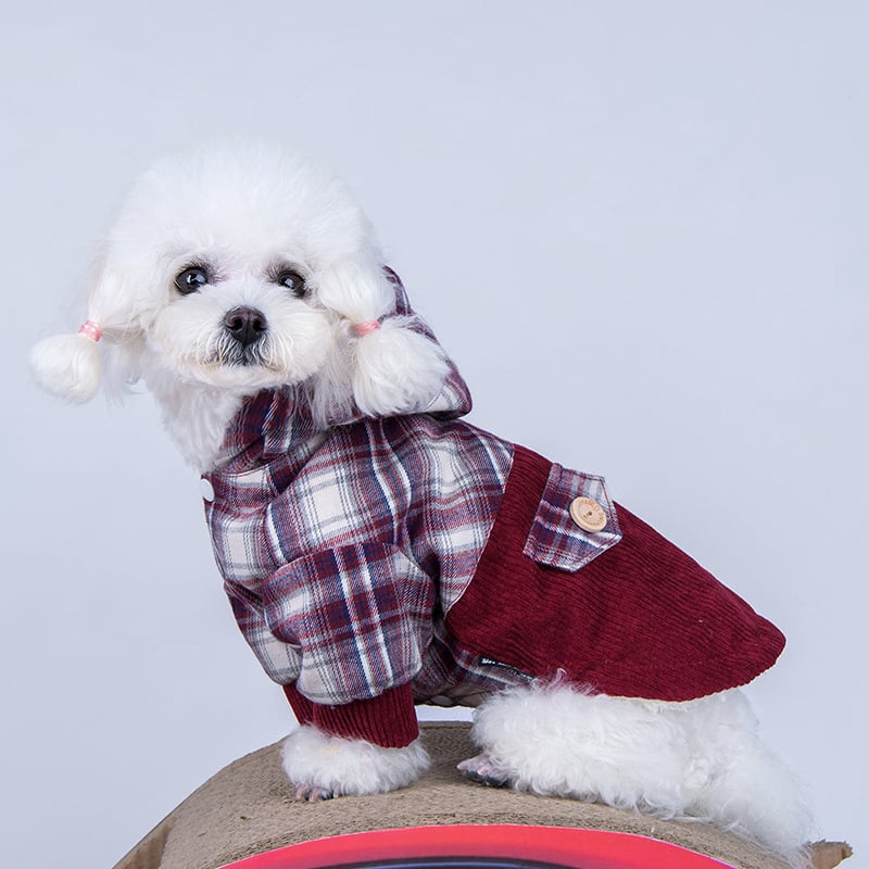 Teddy VIP Pomeranian Small Dog Cashmere Coat