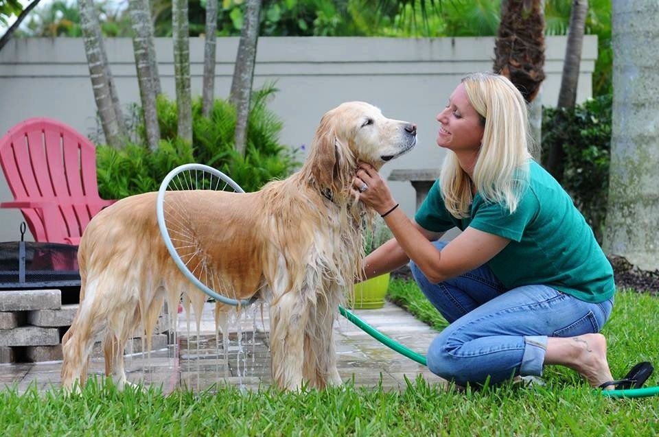 Dog Shower Bathing Ring with Circular Water Gun