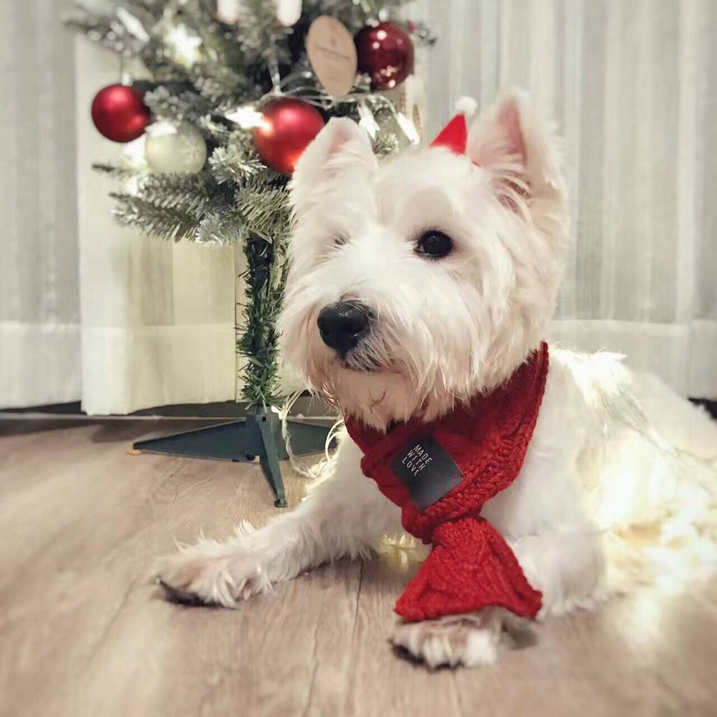 Thick Warm Scarf for Dogs - Cute Pet Scarf