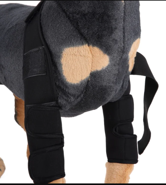 Dog Knee Brace and Leg Protector for Injury Recovery